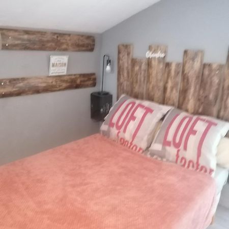 Apartamento Chambre SAINT GIRONS Exterior foto